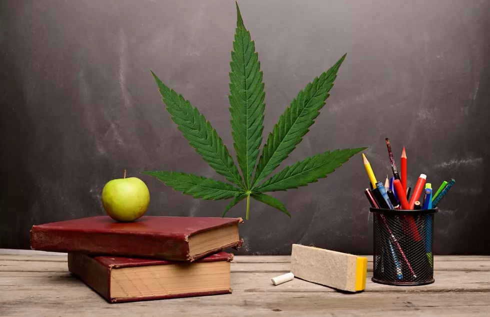 Michigan Substitute Teacher Accused Of Supplying Marijuana Gummies To Student