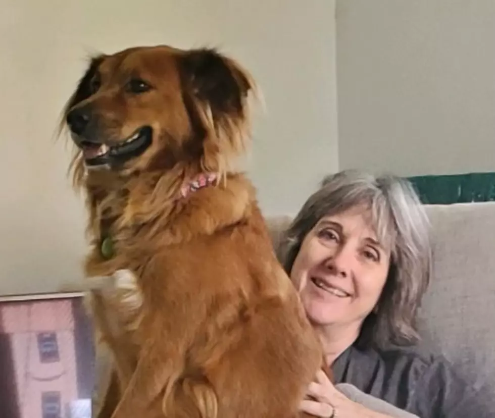 The Two Ladies in Mad Dog’s Life
