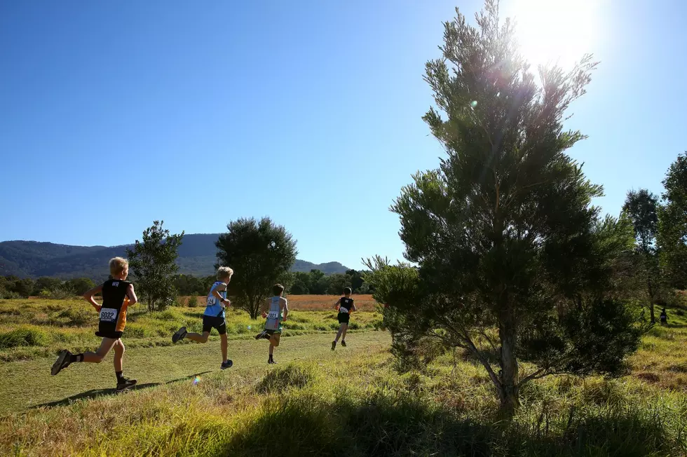 St. Johns Cross Country Runner Wins HS Student-Athlete Of The Week