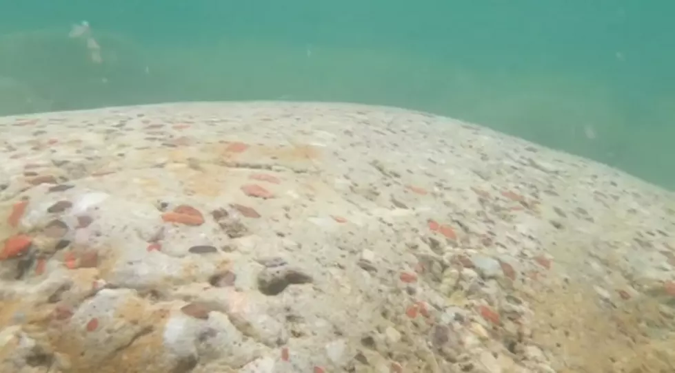 MASSIVE Puddingstone Boulder Found in Lake Huron